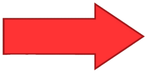 People & Culture Manager